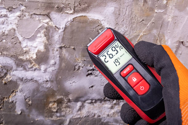 Best Commercial Mold Remediation in Ceres, CA